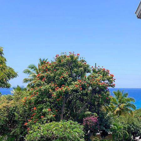 A Little Aloha Kailua-Kona Exterior foto
